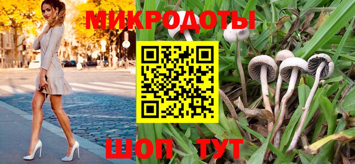 Псилоцибиновые грибы GOLDEN TEACHER  Псилоцибиновые грибы Magic Shrooms  Вход с VPN  Дзержинск 