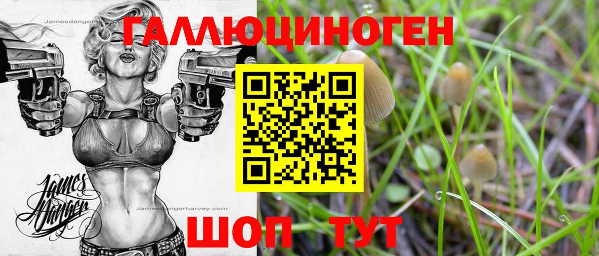Галлюциногенные грибы мухоморы Дзержинск
