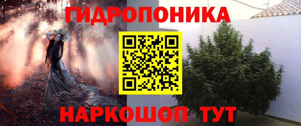 Дзержинск  Бошки Шишки ГИДРОПОН  Вход с VPN  МАРИХУАНА семена 